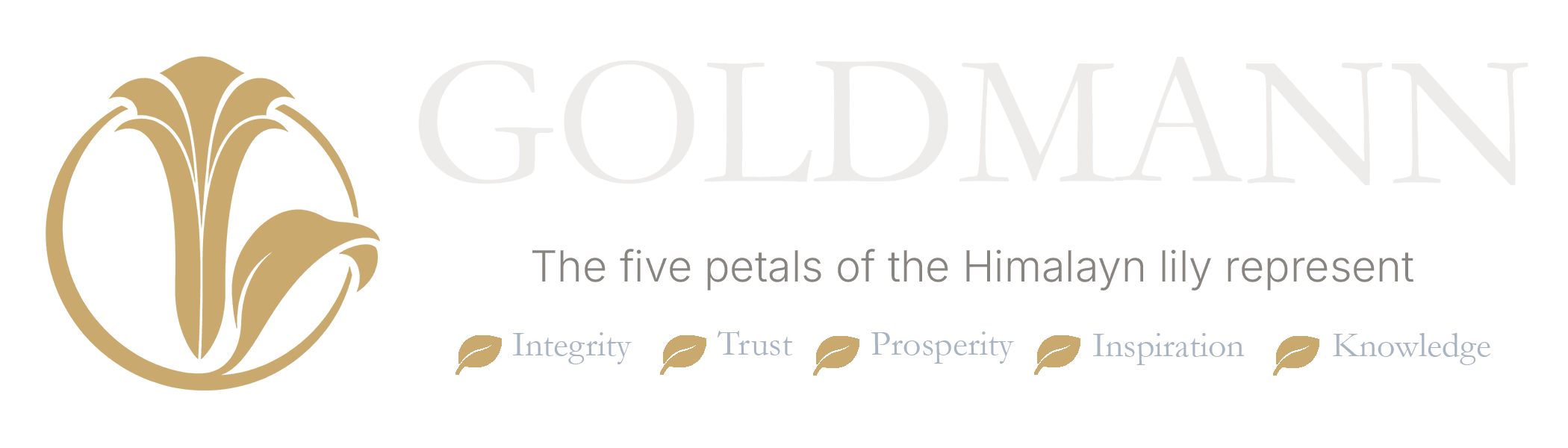 Goldmann Group